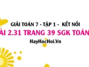 Bài 2.31 SGK Toán 7 tập 1 Kết nối tri thức